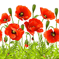 https://disted.edu.vn.ua/media/images/Pidluznyak/png_6klas_2017-2018_1sem/png_6klas_2017_2018_Yrok07_58.png